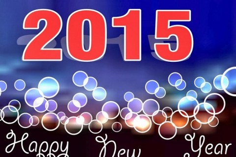 Что приготовить на новый год 2015?